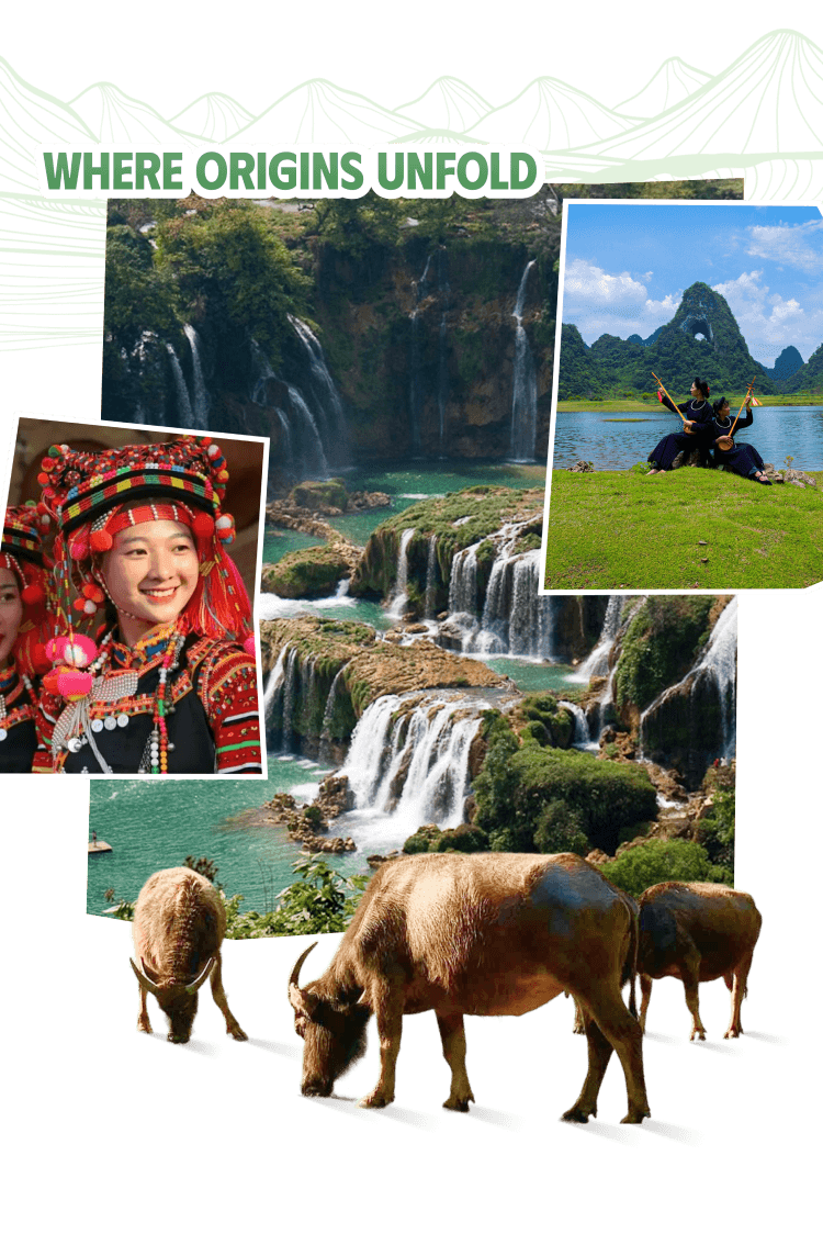 Where Origins Unfold — Cao Bang