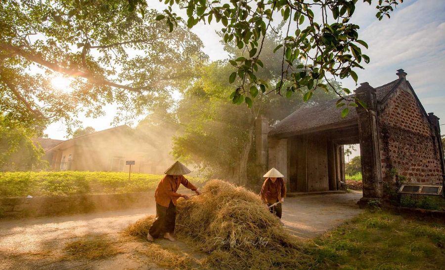 Duong Lam Ancient Village: A Quiet Story of Old Vietnam